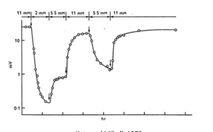 <p><span style="font-family: "Helvetica Light";">&nbsp;- one early observation of the EPP was that its magnitude was dependent on the concentration of extracellular calcium.</span></p>