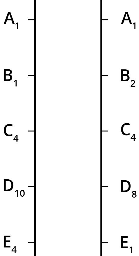 <p>what kinda chromsome is this and why (they contain the same … but potentially diff ….)</p><p>how many diff genes?</p><p>how many alleles?</p><p>if we wanted to represent a 3n organism, what would need to add?</p>