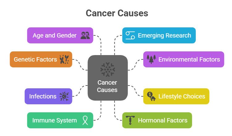 <p>1. Smoking 2. UV-radiation 3. Environmental influences/chemical exposure 4. Effects of diet.</p>