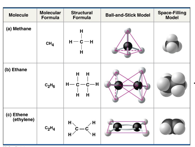<p>Makes single or double bonds (and more) such as</p>
