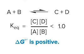 <ul><li><p>Form non-spontaneously</p></li><li><p>ΔG°’ is positive</p></li></ul><p></p>