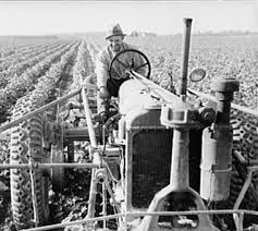 <p>Offered to pay government subsidies for every acre that the farmers plowed under; paying farmers to cut the production and raise prices. (Also repealed and declared unconstitutional in 1935)</p>