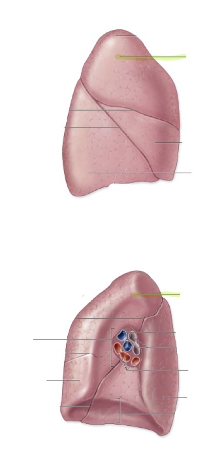 <p>what is this </p>