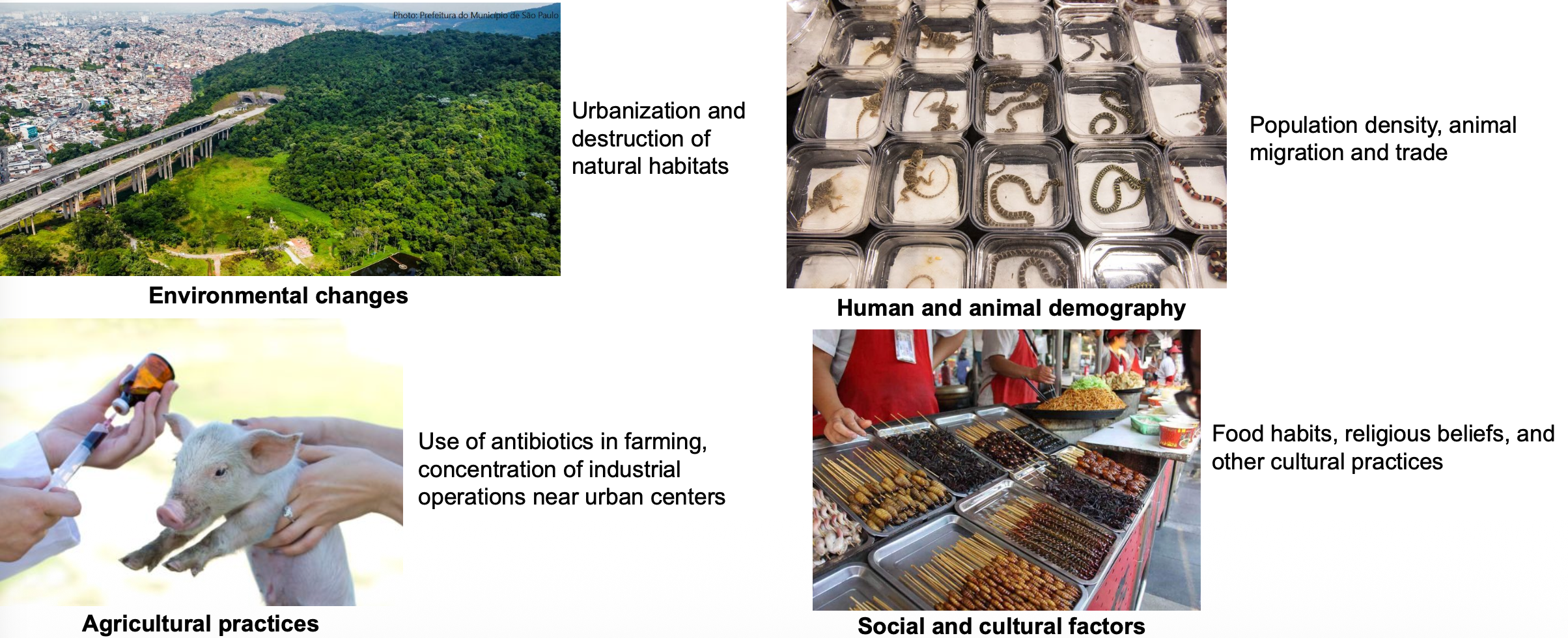 <p>often diseases occur in different groups of people and why.</p><p>plan and evaluate strategies to prevent illness.</p>