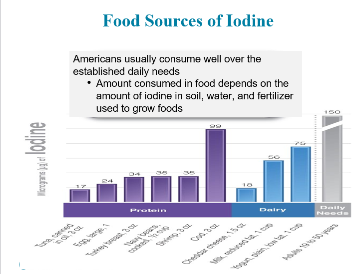 <p>Metabolic Functions of Iodine</p>