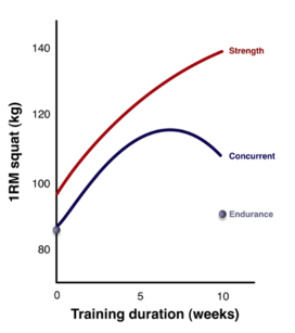 <p>Fliiping does matter - Endurance better after strength </p>