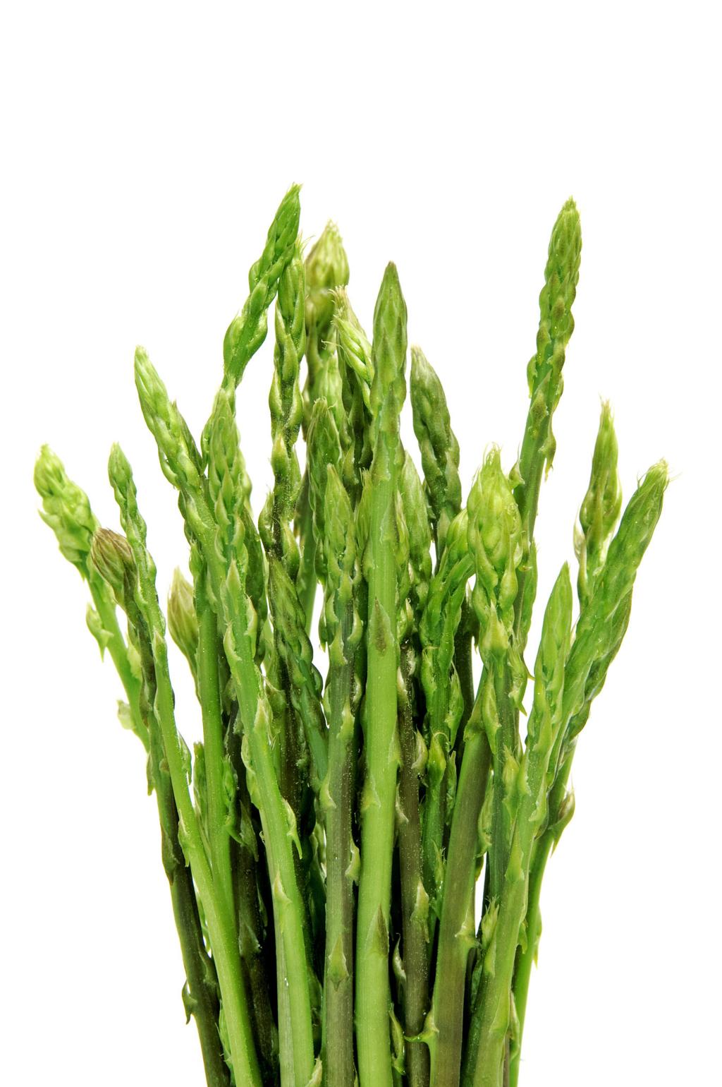 <p>asparagus (n)</p>
