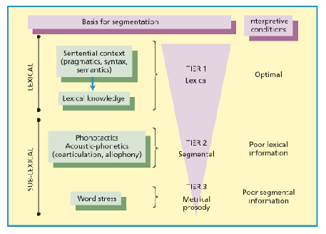 <p><span>❑ Add stress<br>❑ Visual cues<br>❑ Language knowledge<br>❑ Context</span></p>