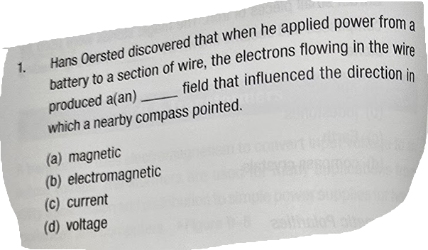 term image