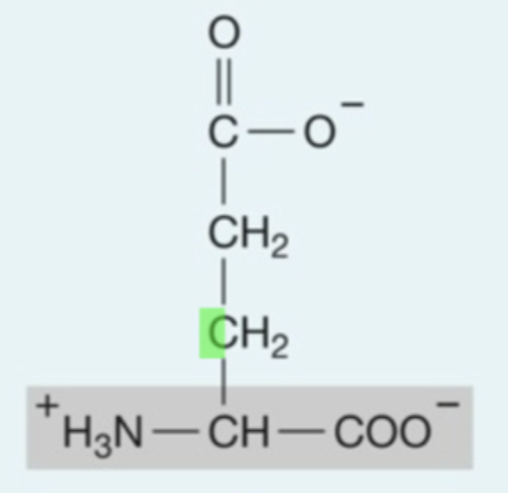 <p><strong>Hydrophilic</strong> (<strong>Polar</strong>) Amino Acids: <strong>Acidic</strong></p>