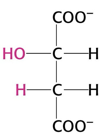 <p>what structure is this?</p>