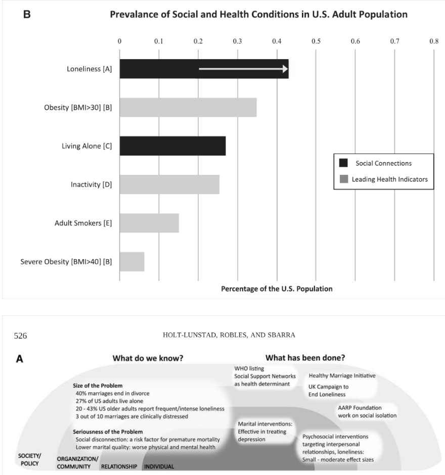 <p><strong>Holt-Lunstad et al: </strong>What are rec &amp; future policies? </p>
