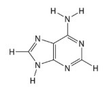 <p><span>What structure is this? Purine or Pyrimidine?</span></p>