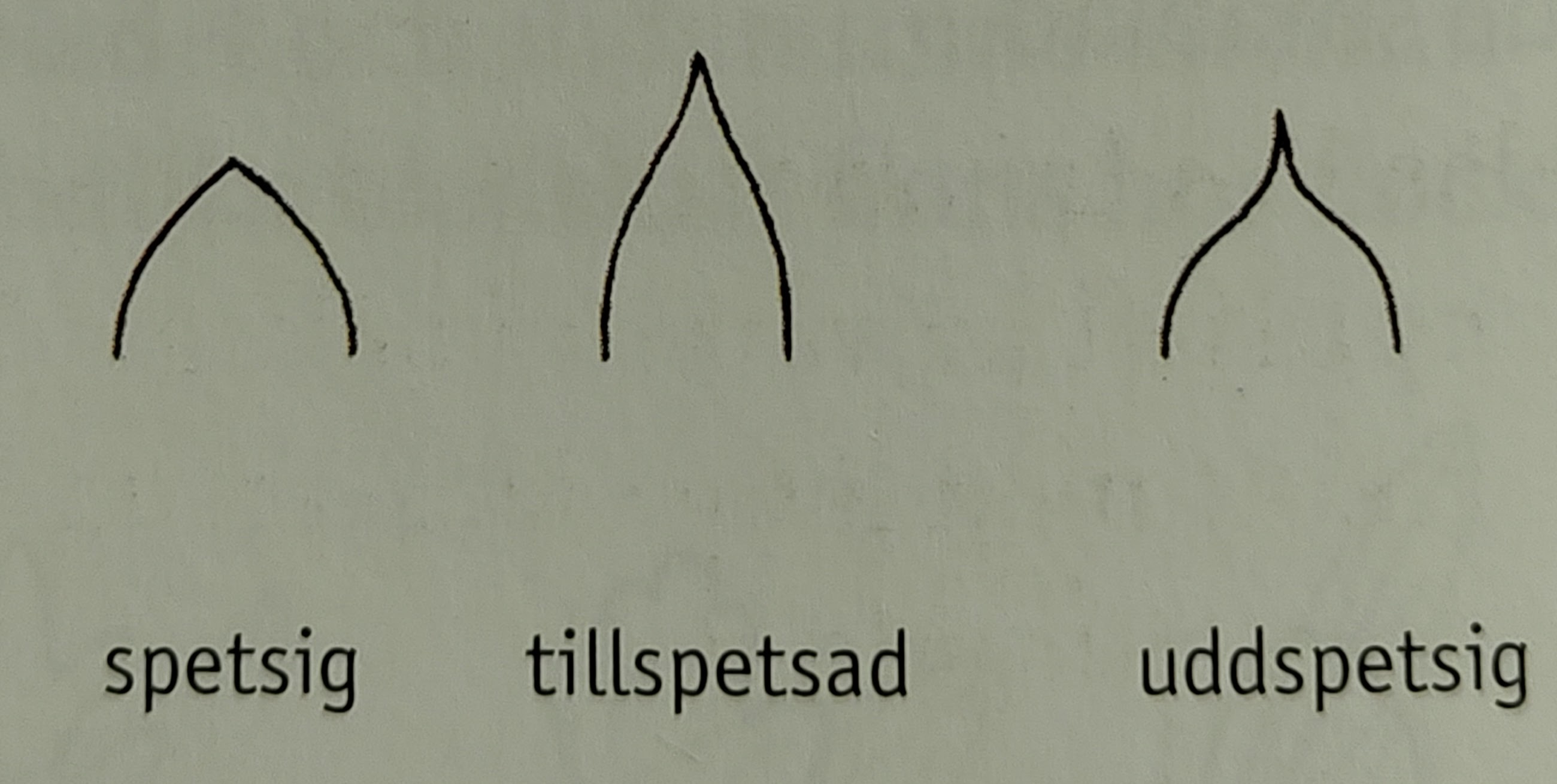 <p></p>