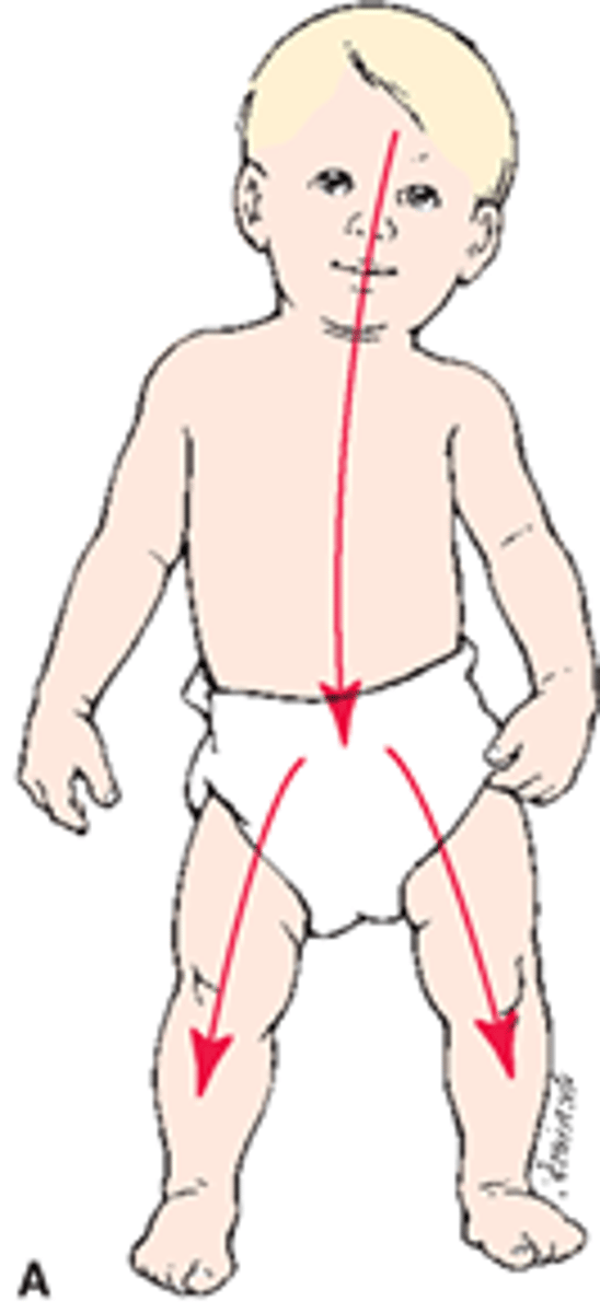 <p>- ("Head to Toe")</p><p>- Development occurs from the head downward to the feet.</p><p>- Control and movement develop earlier in the head and neck.</p><p>- Later development occurs in the trunk, arms, and legs.</p><p>- Example: A baby can hold up their head before they can control their legs.</p>