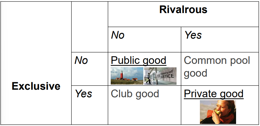 <p>Can be rivalrous and/or exclusive </p>