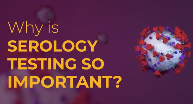 <p><br><span>Why is a serology test important?</span></p>