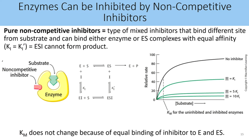 <p>type of mixed inhibitor that binds different site from substrate and can bind either enzyme or ES complexes with equal affinity (ki = ki’) = ESI cannot form product</p><ul><li><p>km does not change because of equal binding of inhibitor to E and ES</p></li><li><p>vmax: inhibotr has ability to bind to es complex so it cannot be rescued with high substrate concentration so vmax <strong>decreases</strong></p></li></ul><p></p>