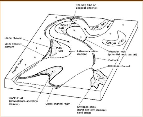 <p>River flow piles up on the cutbank, eroding it and causing sediment to deposit on the point bar further downstream. As a result, the bar migrates laterally (horizontally). Upward fining due to decreasing velocity up the point bar</p><p>develop on inside of meander bends</p>