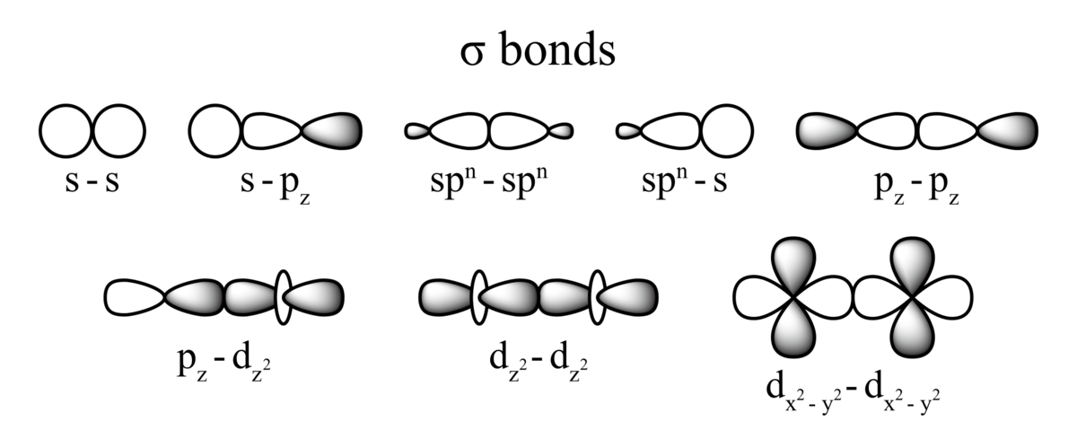 <ul><li><p>formed by the overlap of orbitals in an end-to-end fashion, with the electron density concentrated between the nuclei of the bonding atoms</p></li><li><p>free rotation around the bond axis</p></li><li><p>Almost all single bonds are sigma bonds</p></li></ul><p></p>