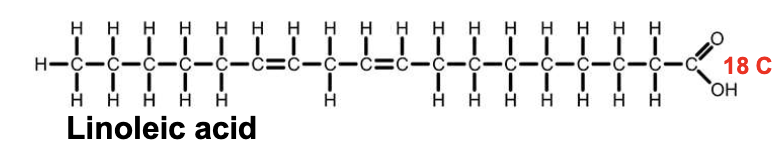 <p>Name this Fatty acid via simple method</p>