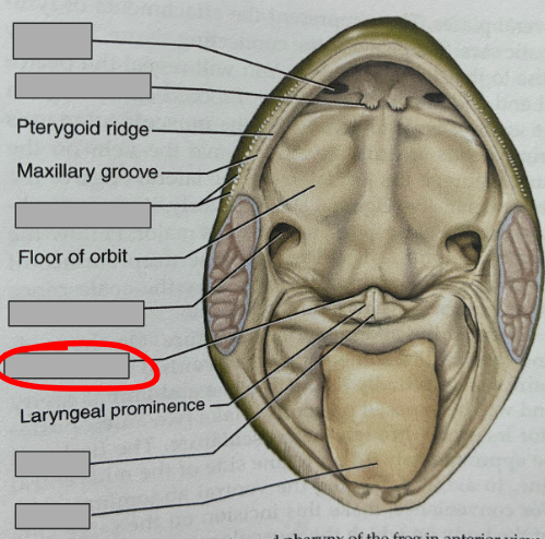 <p>What part of the organism is this?</p>