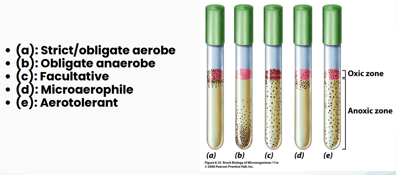 <p>*Reference Midterm 1 Flashcards?</p>