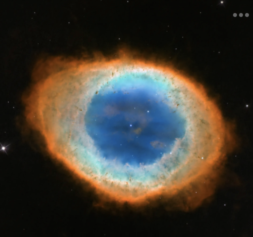 <p>What <strong><em>type of object</em></strong> is this image?</p>