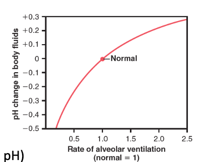 <p>As alveolar ventilation increases above normal, what happens to pH?</p>