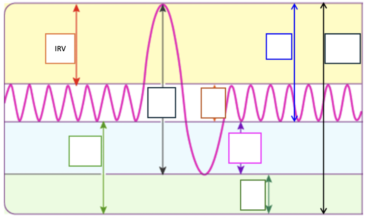 <p>Amount of air inhaled with max effort in excess of tidal volume</p>