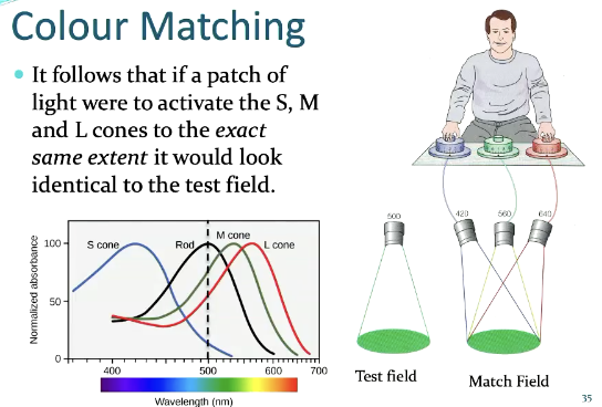 <p>Looks identical to the test field even though physically not the same/identical</p>