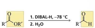 <p>An aldehyde</p>