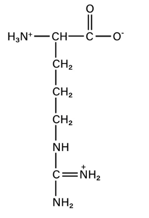 <p>basic </p>