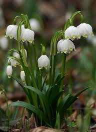 <p></p>