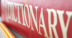<p>The exact dictionary meaning of a word.</p>