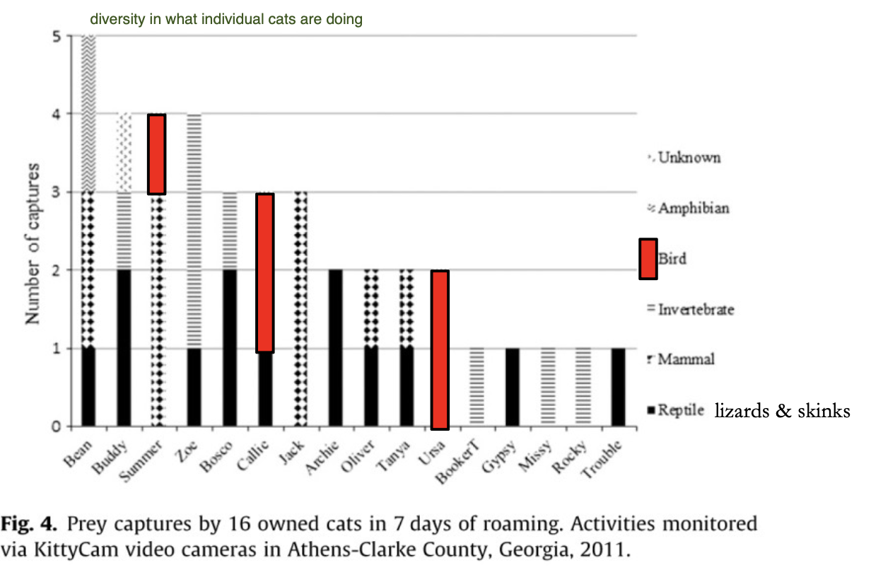 <p>Kill Rate was 0.3 birds/hunting cat per week or about 12 birds/hunting cat/year</p>