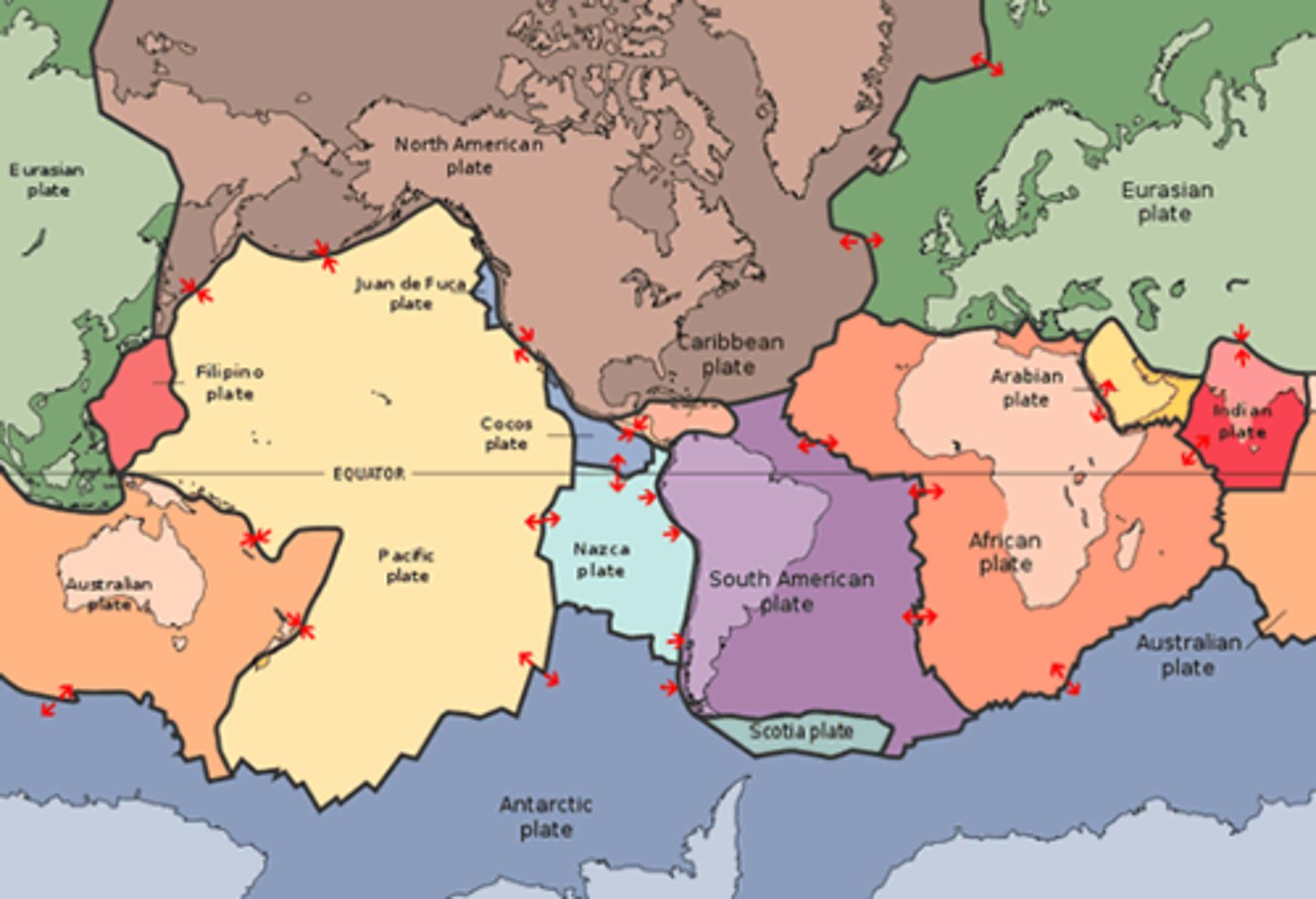 <p>A theory stating that the earth's surface is broken into plates that move.</p>