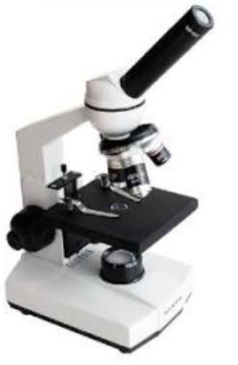 <p>(type of microscope?)</p>