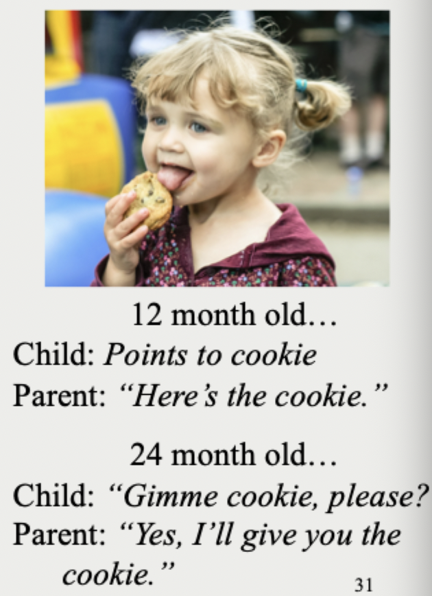 <ul><li><p>Combines the ideas of the learning, linguistic &amp; cognitive perspectives</p></li><li><p>Emphasizes that language is mastered in social context/interactions</p><ul><li><p></p></li></ul></li><li><p>Children are motivated to learn language so they can communicate more efficiently</p></li><li><p>Caregivers are motivated to understand their children &amp; support their language development</p></li></ul><p></p><p>Parent scaffold behaviour</p><ul><li><p>Like the child in the photo, a 9-month-old who wants a cookie might point to it while looking at the parent. In turn, the parent gives the cookie, saying, “Here’s the cookie.” By age 2, a child might say, “Gimme cookie, please?” with the parent responding, “Yes, I’ll give you the cookie.” At 9 months and at 2 years, the child’s desire to have the cookie motivates communication (pointing at 9 months, spoken language at 2 years) and gives the parent opportunities to demonstrate more advanced forms of language.</p></li><li><p>Highlights what acquiring grammar is for</p></li><li><p>For communicating more efficiently</p></li><li><p>How does social element of communication add another layer to different perspectives of how we acquire language</p></li></ul><p></p>