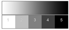 <p>(Element) The lightness or darkness of a color.</p>