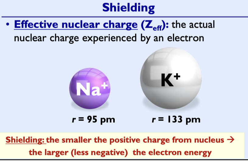 <p>In a multi electron atom, each electron experiences attraction to the nucleus and repulsion to other electrons. </p><p>Electrons closer to the nucleus (n =1.. n =2…) other electrons (n>=3) from experiencing the full charge of the nucleus and thus reduce the attraction to the nucleus</p>