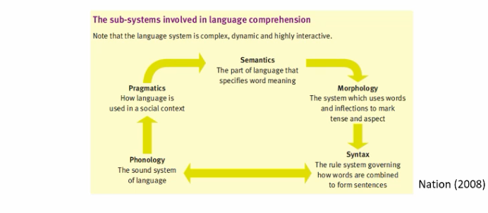 <p>In typically developing children, key milestones for language understanding and use are reached by this age:</p>