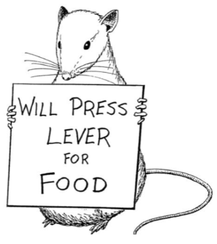 <ul><li><p><span style="background-color: transparent;">Rat pressing lever for food</span></p></li><li><p><span style="background-color: transparent;"><strong>Positive reinforcement and negative reinforcement&nbsp;</strong></span></p></li><li><p><span style="background-color: transparent;">Classical conditioning</span></p></li><li><p><span style="background-color: transparent;">Stimulus/response theory of human behavior</span></p></li><li><p><span style="background-color: transparent;"><strong>B.F. Skinner</strong>: “Give me a child and I will shape him into anything”</span></p></li><li><p><span style="background-color: transparent;">Many of the early theorizations of <strong>how communication worked was in behaviorist lines</strong></span></p></li><li><p><span style="background-color: transparent;"><strong>External inputs to the mind or body can be directed in such ways as to produce any type of desired behaviour</strong></span></p></li></ul><p></p>