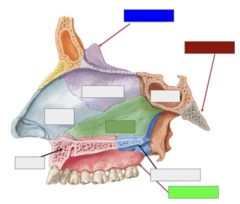 <p>This is the</p>