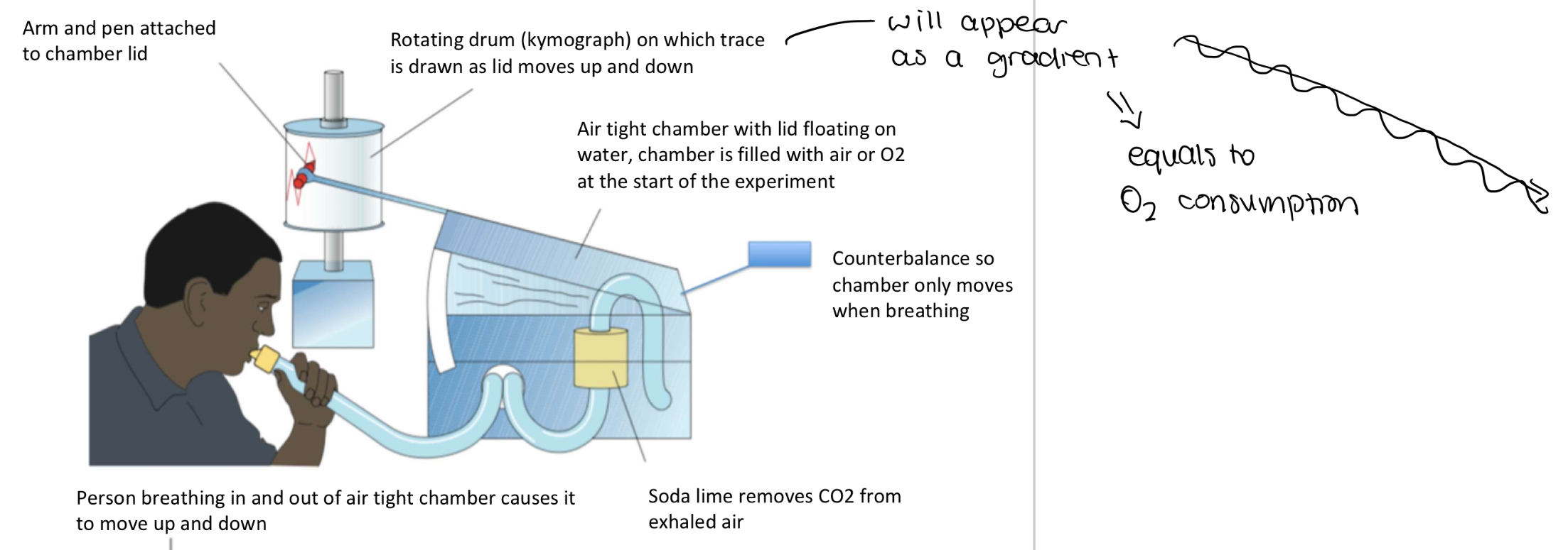 <p>Floating chamber on water with a pivot so that it moves down when you inhale and up when you exhale, connected to a recording pen which draws a trace on a rotating drum.</p>