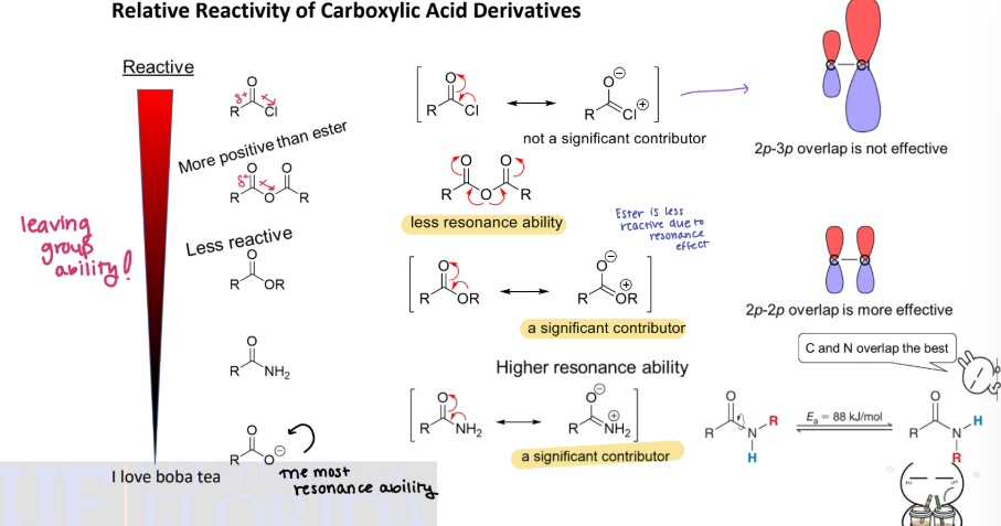 <p><strong><u>Reaction #11) - Nucelophilic Acyl Substitution </u></strong></p><ul><li><p>The relative reactivity of COOH derivatives is based on the stability of the leaving group and how resonance stabilized the deivative is →<span style="color: blue;"><strong><mark data-color="blue" style="background-color: blue; color: inherit;"> if it is resonance stabilized it is _____reactive </mark></strong></span></p></li></ul><p></p>