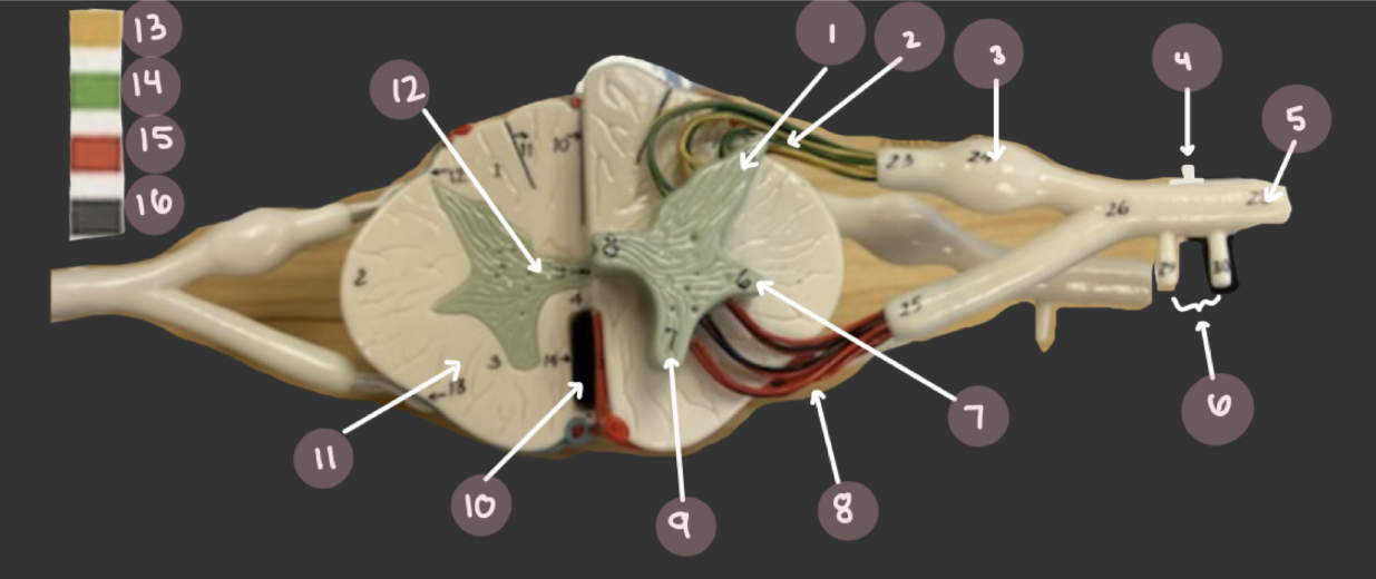 <p>Point 8</p>