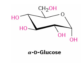 <p>direct williamson ether synthesis</p><ul><li><p>reagent </p></li></ul><p></p>