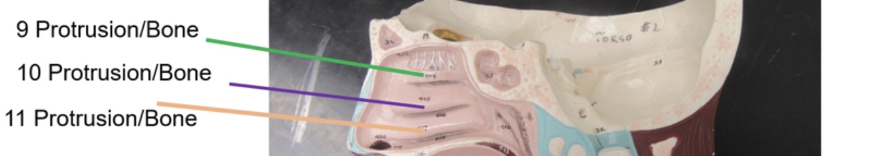 <p>What does 9 represent?</p>