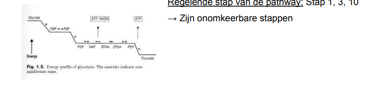 <p>Dit zijn de stappen met negateive delta G. Dit zijn de snelheidsbepalende stappen. Ze hebben dus een sterke invloed in welke stap de reactie gaat verlopen. Bij omkeerbare stappen weet je niet 100% zeker in welke richting de reactie gaat verlopen. Daarom wil je de snelheid beinvloeden van de pathway doen bij de onomkeerbare stappen zodat dat je de richting van de reactie kan beinvleoden. </p>